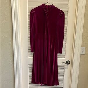 Elegant deep fuschia Velvet Dress